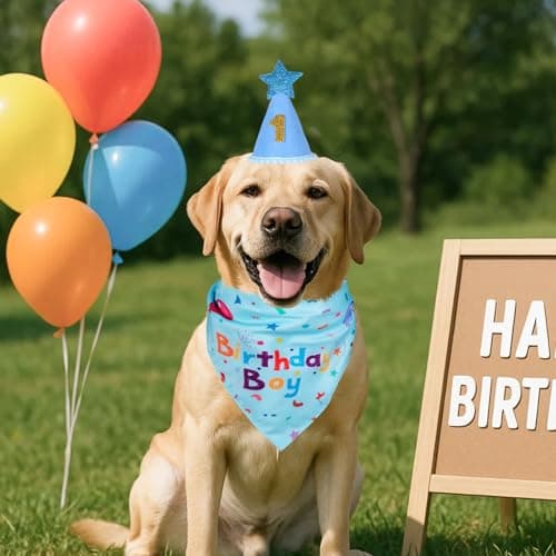 Yicostar Dog Boy Girl Birthday Party Hat, Dog Birthday Party Supplies, Birthday Bandana Set with Numbers for Gaint and Extra Large Dogs (Blue) — view 5