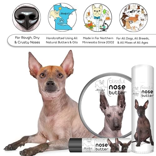 The Blissful Dog Xoloitzcuintli Nose Butter for Dry, Cracked Skin, Lick-Safe Dog Nose Balm with Moisturizing Shea Butter, Almond, Olive, and Essential Oils, Pet Supplies, Uncented, 0.50 oz. — view 2