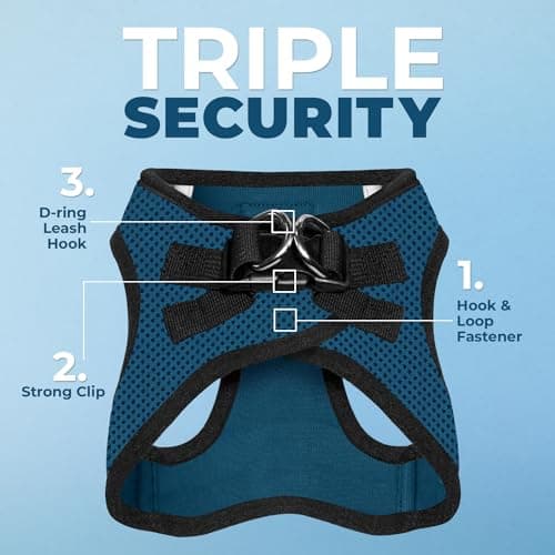 Best Pet Supplies Voyager All Weather No Pull Step-in Mesh Dog Harness with Padded Vest, Best Pet Supplies, Medium, Blue Base