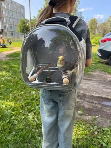 Small Bird Travel Backpack Carrier Cage, Backpack to Transport Backpack Carrier with Metal Tray Stand Perch for Parakeet Cockatiel Budgies Vet Carry Book Bag Black — view 3