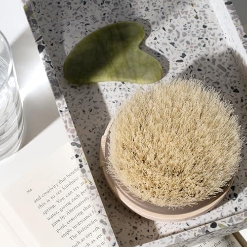 EcoTools Dry Body Brush, Cruelty-Free Bristles Exfoliate & Smooth Skin, Dry Brushing Removes Flaky Skin, May Help Improve Circulation & Tone, Eco-Friendly Skincare Tool, Vegan & Cruelty-Free, 1 Count — view 4