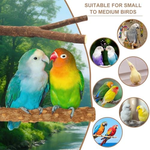 7-Piece Bird Perches for Cage- Wooden Parrot Stand with Fork Toys, Hanging Multi-Branch Platform, Hammock Swing, Gym Playstand & Chewing Toys - for Parakeets, Budgies, Lovebirds - Durable — view 3
