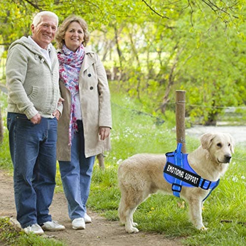 voopet Service Dog Harness, No-Pull Emotional Support Pet Vest Harness, Reflective Breathable and Adjustable Pet Halters for Small Medium & Large Dogs (with 4 PCS Removeable Tags) — view 5