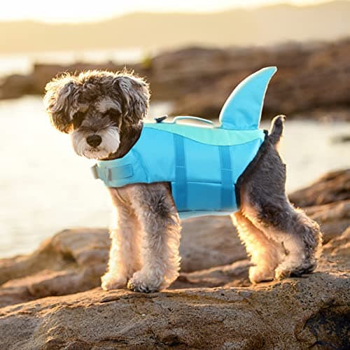 EMUST Large Dog Life Jacket, Pet Life Vests for Swimming, Small/Medium/Large Dog Flotation Vest with Rescue Handle for Water at Pool, Beach, Boating (XL,Pool Blue) — view 5