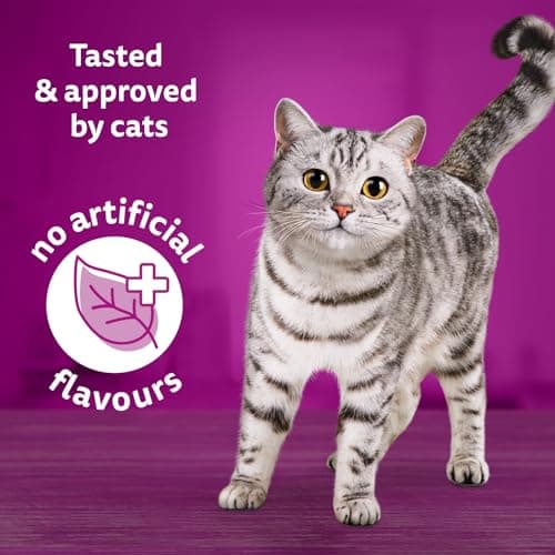 WHISKAS Salmon and Poultry Selections, Turkey, Chicken, and Savoury Salmon Dinner, Adult Wet Cat Food Paté in Natural Juices, 100g (24 Pack) — view 2