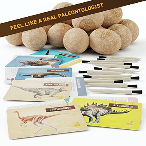 Dan&Darci Dig a Dozen Dino Egg Kit for Kids - Basket Stuffers - Dinosaur Toys Gift 3-12 Year Old - 12 Eggs & Surprise Dinosaurs - Science STEM Activities - Boy Toy Party Gifts for Boys & Girls — view 5