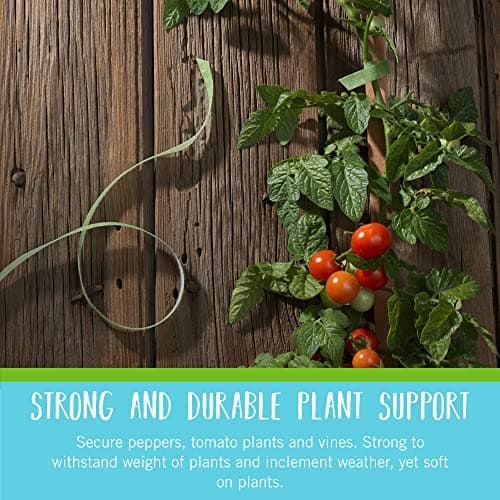 VELCRO Brand Adjustable Plant Ties | 75 ft x 1/2 in Green Garden Tape | Reusable, Cut-to-Length Hook & Loop Plant Support for Staking, Training & Organizing Tomatoes, Vines, and Flowers — view 3