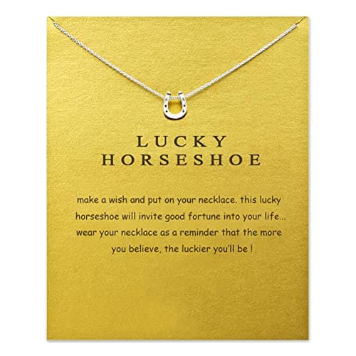 LANG XUAN Good Luck Horseshoe Pendant Friendship Chain Necklace with Meaning Card for Women Silver Gift