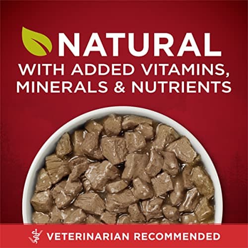 Purina ONE High Protein Wet Dog Food True Instinct Tender Cuts in Dog Food Gravy With Real Beef and Wild-Caught Salmon - (Pack of 12) 13 oz. Cans
