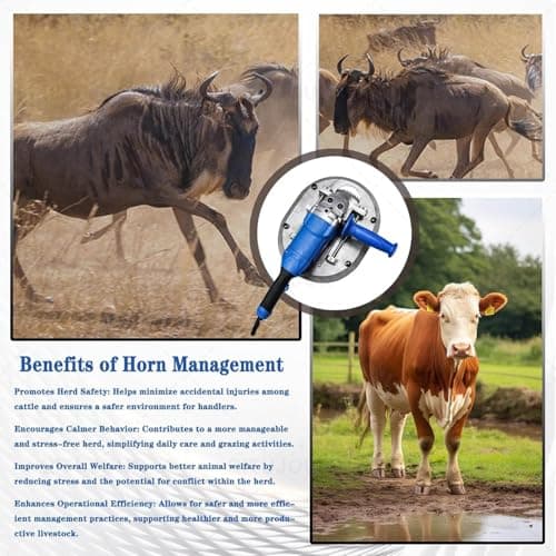 Electric Dehorner for Cattle Sheep, Electric Cattle Dehorner, 1900/2100W Painless Dehorner for Goats, 8800r/min, No Lubrication Required, 2s Cut, for Veterinary, Farm, Ranch Animal(2100W) — view 5