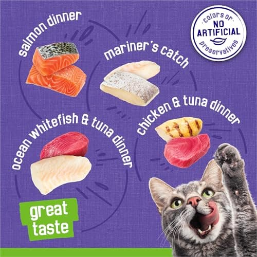 Purina Friskies Pate Wet Cat Food Variety Pack Seafood and Chicken Pate Favorites 40ct VP - (Pack of 40) 5.5 oz. Cans — view 4