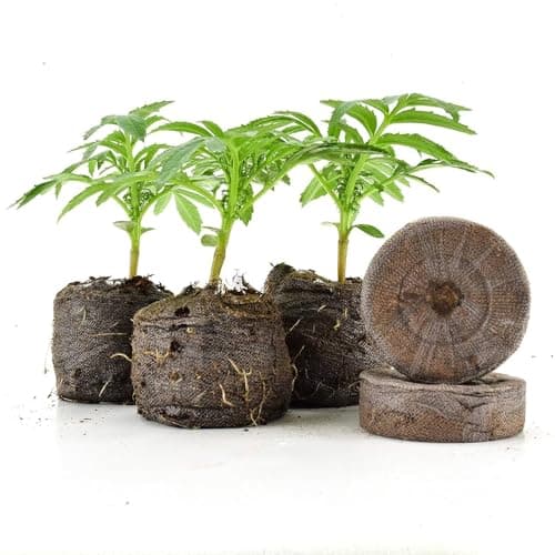 Jiffy-7 The Original 100% Peat Pellets, Propagating Seeds and Cuttings Or Tissue Culture for Stronger Roots, Biodegradable Net. Product of Canada. 100 Pellets (42mm) — view 2