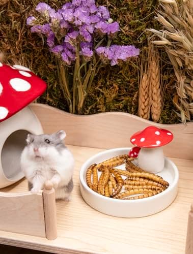Niteangel Hamster Snack & Treats Toy - Small Animal Natural Treat for Dwarf Syrian Robo Hamsters Gerbils Mice Lemmings Degus or Other Small-Sized Pets (Dried Worms- 0.9oz (25g)) — view 3