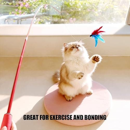 PLumeLux Cat Toys Set, 2 Retractable Wand with 9 Feather Toys Refills Catcher and Interactive Funny Exercise for Indoor Kitten