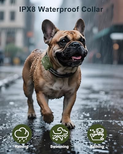 Jugbow Dog Shock Collar - 4500FT Dog Training Collar with Remote, IPX8 Waterproof Electric Dog Collar with 4 Training Modes, Security Lock, Rechargeable eCollar for 10-120lbs Small Medium Large Dogs — view 3