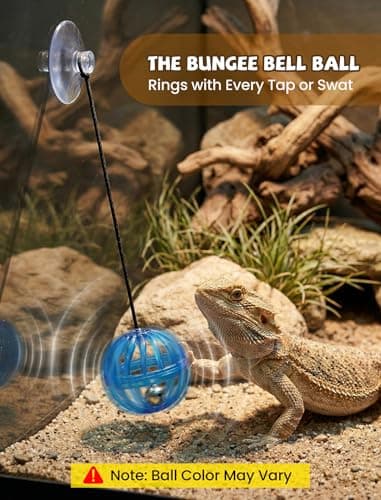 NiToy Bearded Dragon Enrichment Toys, Interactive Reptile Feeder Ball Set — view 5