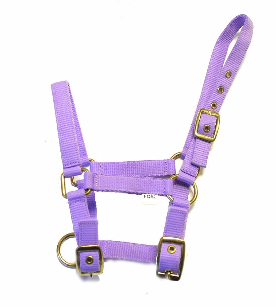 Rhinegold Collar de Nylon Potro — view 4