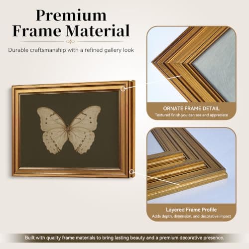 Gold Framed Wall Art Vintage Butterfly Canvas Wall Art White Butterfly Moody Insect Artwork Prints Picture for Living Room Bedroom Farmhouse Bathroom Office Decor, 8x10 — view 7