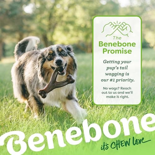 Benebone Wishbone Durable Dog Chew Toy for Aggressive Chewers, Real Bacon, Made in USA, Medium — view 5