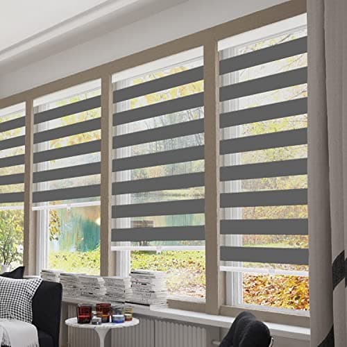 IDEKIO Zebra Blinds for Windows Custom Size Cordless Blackout Roller Blinds,Dual Layer Sheer or Privacy Light Control,Day and Night Window Zebra Shades,Dark Grey,25" W x [25" H to 98" H Customize]