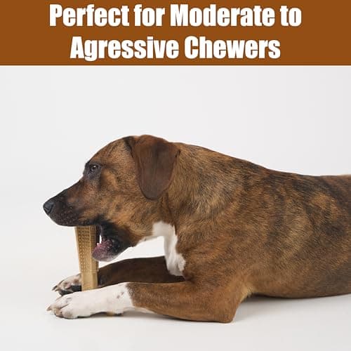 Bambone Plus Chew Toy for Dogs Chicken 6" — view 4