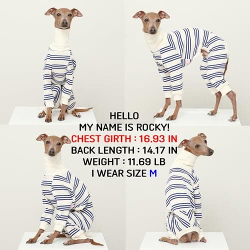 D Doggy Star Italian Greyhound Clothes Soft Stretchy Onesie Refined Stripe Outfit Whippet for Dog Coat (L,Onsi Blue Str)
