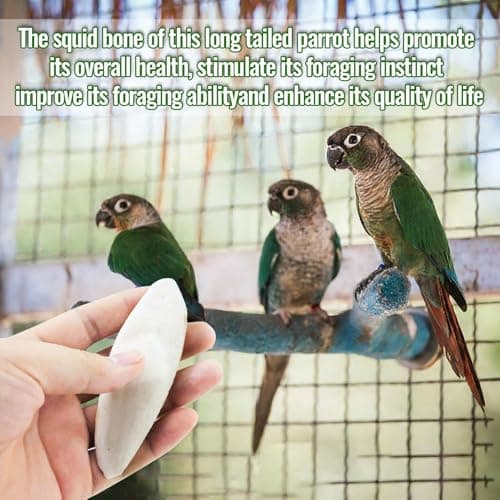 10Pcs Bird Cuttlebone Cuttlefish Bone, Bird Cage Food Cuttle Bone, Parakeet Chew Toy Calcium Stone Beak Exercise for Birds Parrots Cockatiels Budgie Snails Reptiles - 4-6cm — view 2