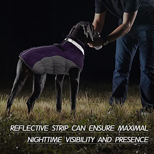 FUAMEY Dog Coat for Medium Dogs,Waterproof Dog Winter Jacket with Harness Built in Puppy Cold Weather Coats Reflective Pet Vest with Zipper Warm Fleece Dogs Snowsuit Windproof Purple M — view 4