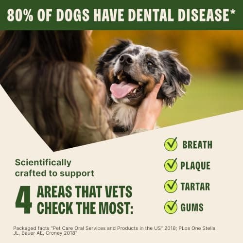 Wellness WHIMZEES Brushzees Natural Dog Dental Treat, VOHC Accepted Chews, Freshens Breath, Large Size, 4.2 oz Bag, 2 Count — view 5