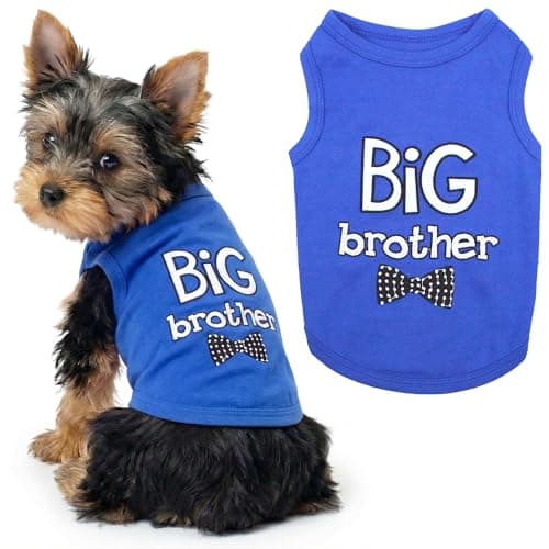 Parisian Pet Dog T-Shirt with Embroidered ' Big Brother ' Words - 100% Cotton, Big Brother Dog Shirt - Sleeveless Pet Vest - Machine Washable Blue Dog Shirts for Small Dogs XS