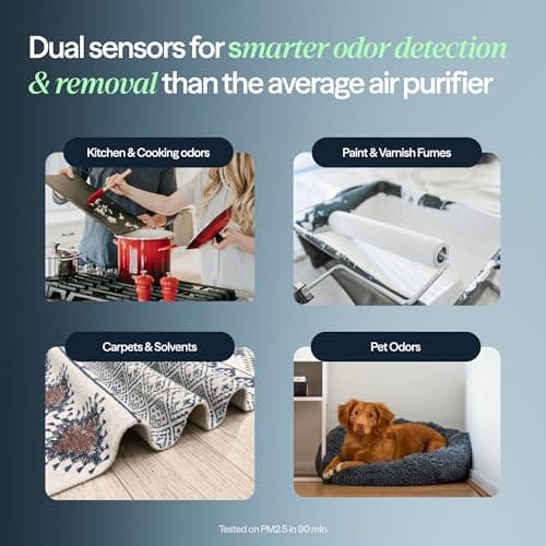 BLUEAIR Blue Signature SP3i Air Purifier for Medium Rooms up to 2,250 sq ft, HEPASilent Filtration, WiFi Smart Control, Auto Mode, Odor & Smoke Removal, Pet Hair & Dust, AHAM Verified, Table Design — view 3