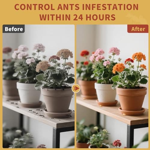 Sumkat Ant Bait Gel Indoor and Outdoor Ready to Use Ant Control 30 Grams — view 2
