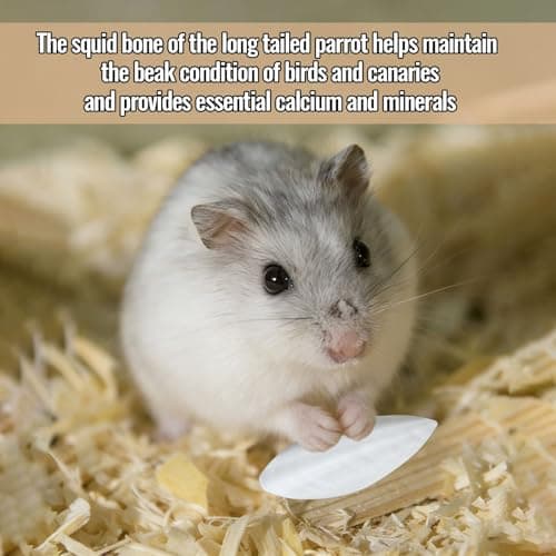 10Pcs Bird Cuttlebone Cuttlefish Bone, Bird Cage Food Cuttle Bone, Parakeet Chew Toy Calcium Stone Beak Exercise for Birds Parrots Cockatiels Budgie Snails Reptiles - 4-6cm — view 4
