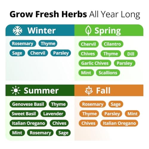 HOME GROWN Herb Seeds for Planting 15-Pack Massive Seed Count 4,300+ Seeds Non-GMO Heirloom | Extra Large | Culinary Herb Kit, Indoor Outdoor & Hydroponic | Grow Your Own Herbs | Gardening Gift — view 4