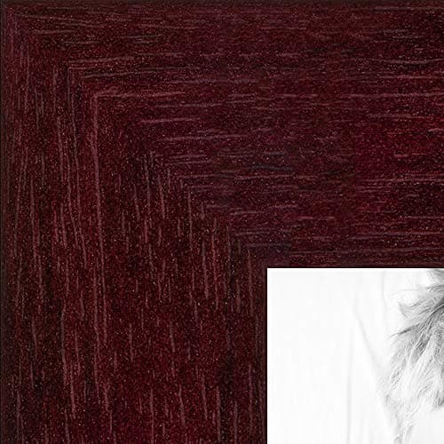 ArtToFrames 16x22 inch Classic Mahogany Frame Picture Frame, 2WOMFRBW26039-16x22