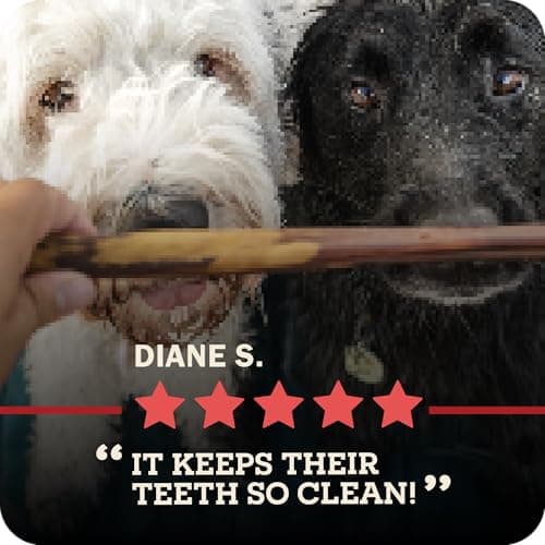 Redbarn Pet Products 12" Braided Bully Sticks for Dogs 2-Count, Pack of 12 — view 10