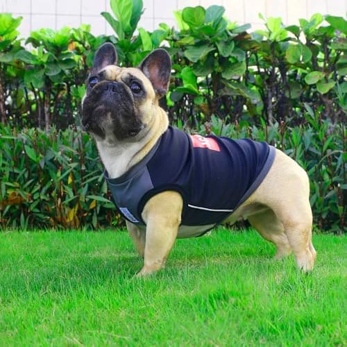 iChoue French Bulldog Summer Cooling Shirt for Dogs UV Sun Protection Vest Sleeveless Stretchy Tank Top English Pug Grey Black - Large — view 3