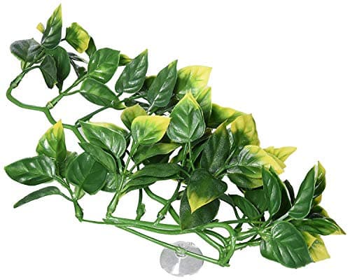 Exo Terra Jungle Plant - Amapallo - Small