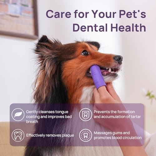 HICC PET Dog Toothbrush, Anti-Slip Dog Tooth Brushing Kit, Dog Finger Toothbrush for Plaque and Tartar Cleaning, Dog Teeth Cleaning for Medium & Large Pets, Safer & Softer Liquid Silicone, 2-Pack