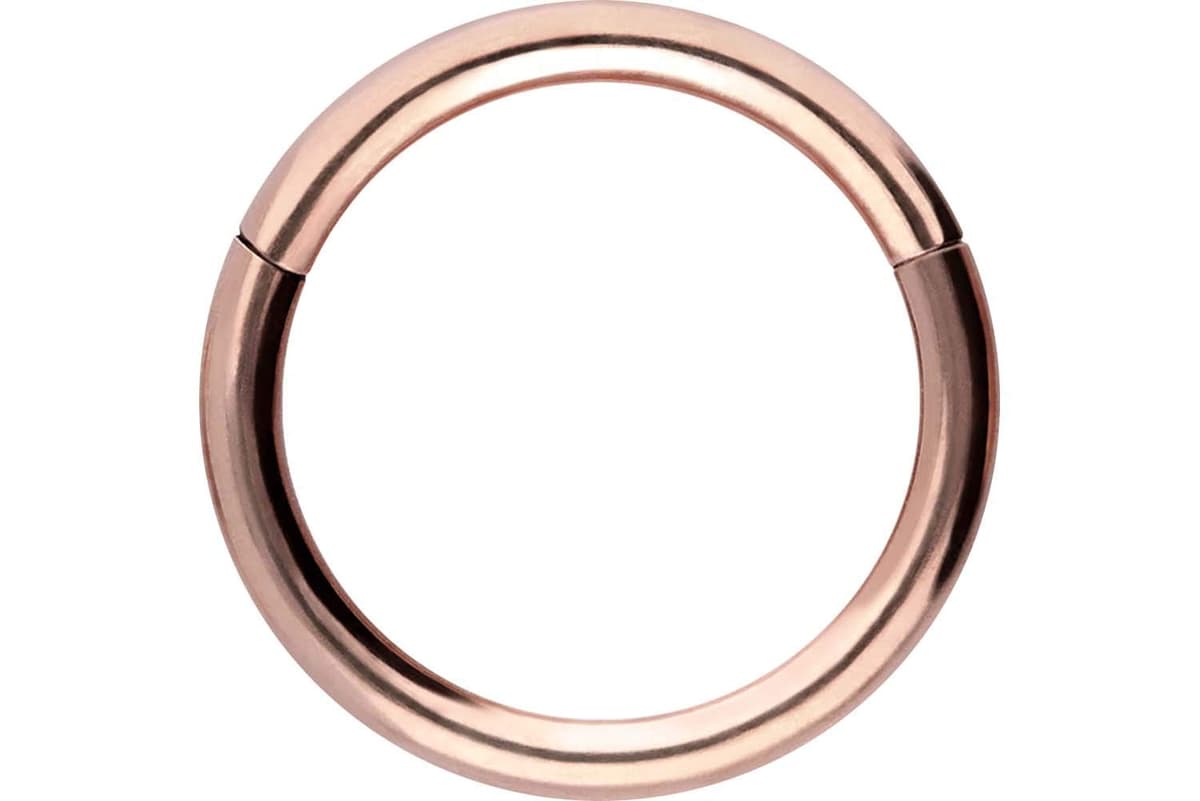 PIERCINGLINE Anillo segmento Clicker de acero quirúrgico – Piercing en oro, plata, rosa, negro o azul – para nariz, tabique, oreja, hélice o tragus — view 92