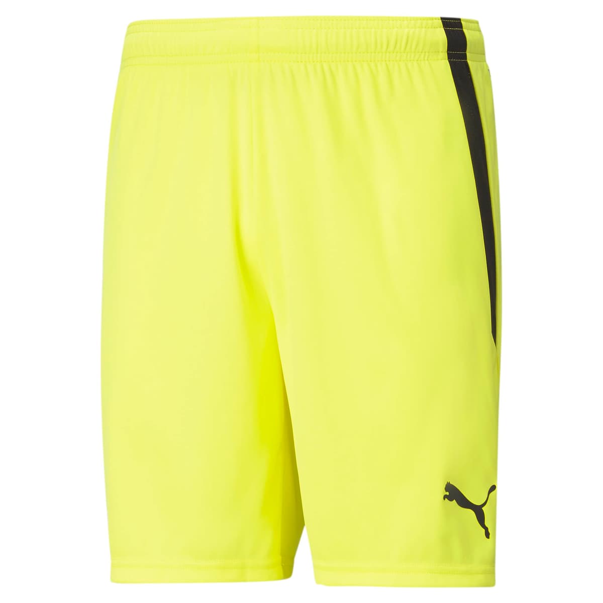 Puma Teamliga Shorts - Pantalones Cortos Hombre — view 13