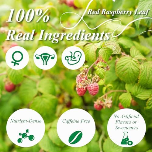 WT WEETEE Red Raspberry Leaf Tea Bags 60 Count, Pure Cut & Sifted Raspberry Leaf, Taste Similar to Green Tea, No Sugar, No Caffeine, Natural Pregnancy Tea — view 2