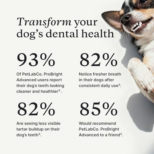 PetLab Co. ProBright Advanced Dental Powder - Dog Breath Freshener - Teeth Cleaning Made Easy – Targets Tartar & Bad Breath - Packaging May Vary - Formulated for Extra Small Dogs — view 4