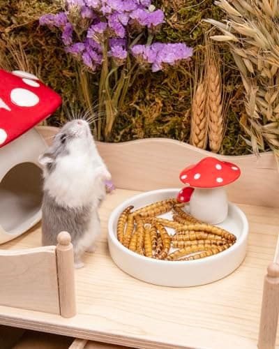Niteangel Hamster Snack & Treats Toy - Small Animal Natural Treat for Dwarf Syrian Robo Hamsters Gerbils Mice Lemmings Degus or Other Small-Sized Pets (Dried Worms- 0.9oz (25g)) — view 5