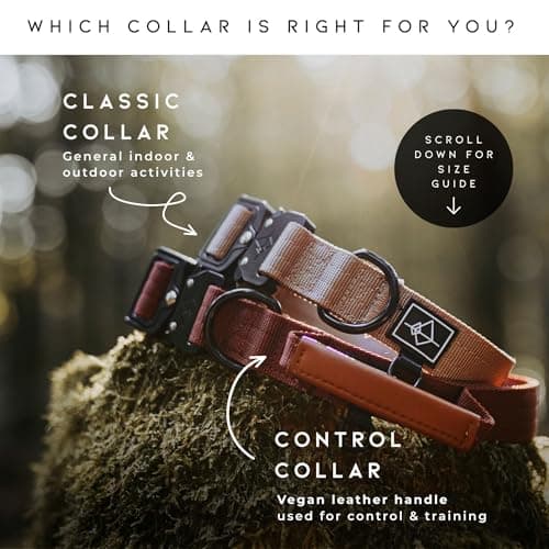 Made to ROAM Premium Dog Collar - Adjustable Heavy Duty Nylon Collar with Quick-Release Metal Buckle (California Horizon, Classic Size 4) — view 5