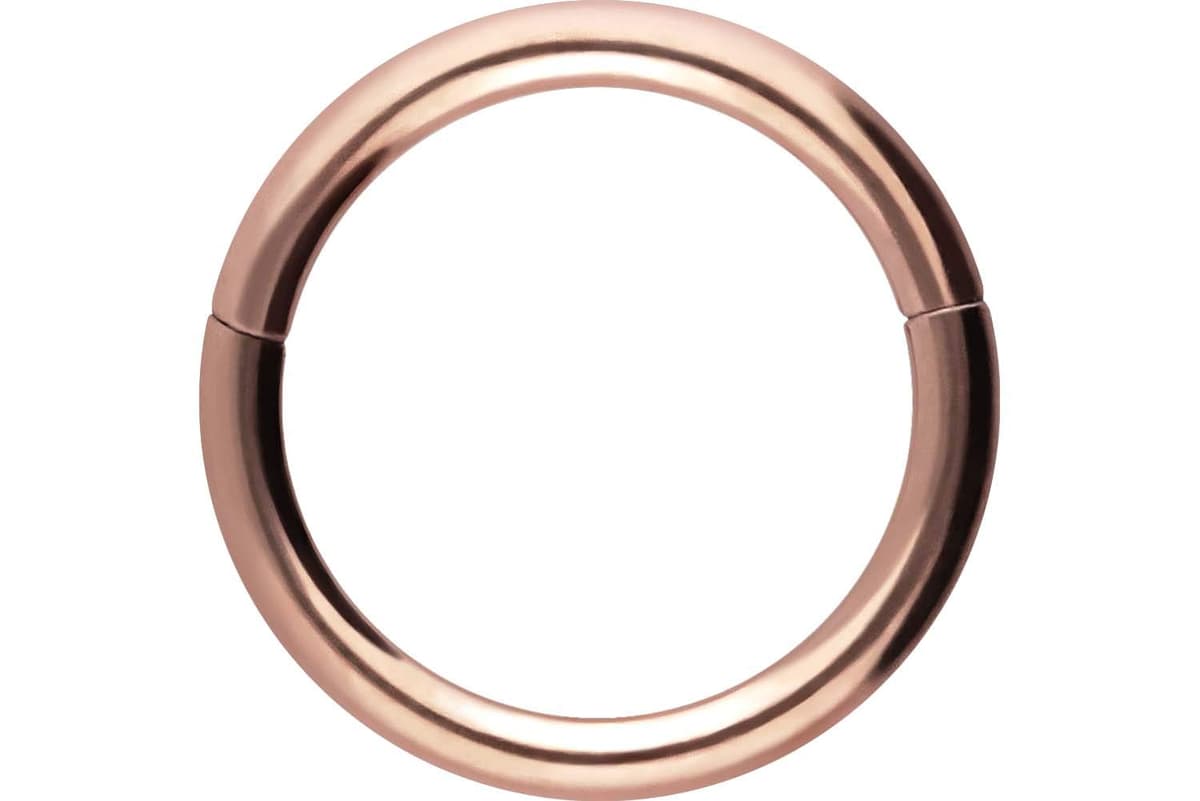 PIERCINGLINE Anillo segmento Clicker de acero quirúrgico – Piercing en oro, plata, rosa, negro o azul – para nariz, tabique, oreja, hélice o tragus — view 113