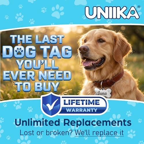 UNIIKA Dog Tags Personalized (Canada Lifetime Replacements) Deep Engraved on Both Side (3 Size Available) - Médaille Custom Pour Chiens et Chats Personnalisée (Small, Gold)