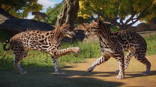 Planet Zoo: America's Animal Pack Standard - PC Steam [Online Game Code] — view 3