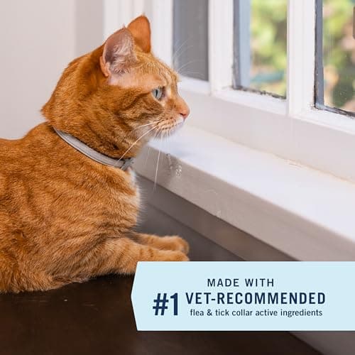 PetArmor Extend Flea & Tick Treatment & Prevention Collar for Cats, 8 Months of Protection, 1 Count — view 2
