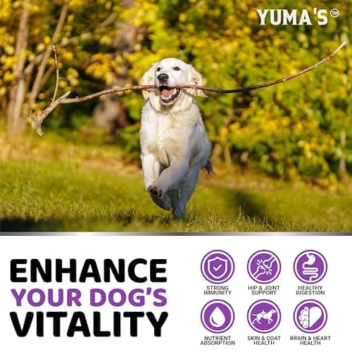 Dog Multivitamin Chewable with Glucosamine - 170 Chews - Dog Vitamins and Supplements 23 in 1 - Senior & Puppy Multivitamin for Dogs - Hip & Joint Support - Immune Health, Skin, Digestion — view 4